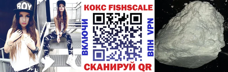 КОКАИН Fish Scale  купить   Кингисепп 