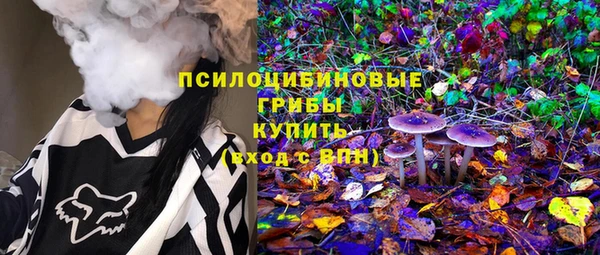 бошки Переславль-Залесский