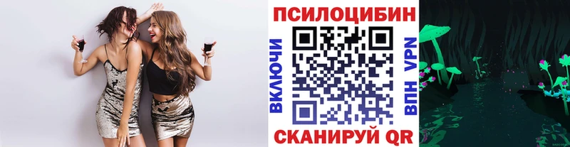 Галлюциногенные грибы ЛСД купить цена Кингисепп